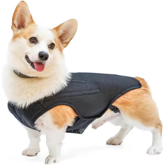 Back Brace for Long Doggys