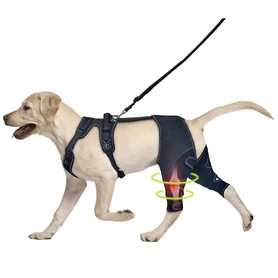 Dual-Knee Brace with Extra ACL Support
