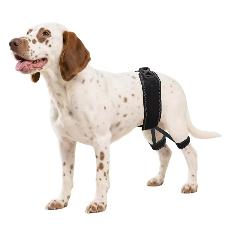 Doggy Hip Brace