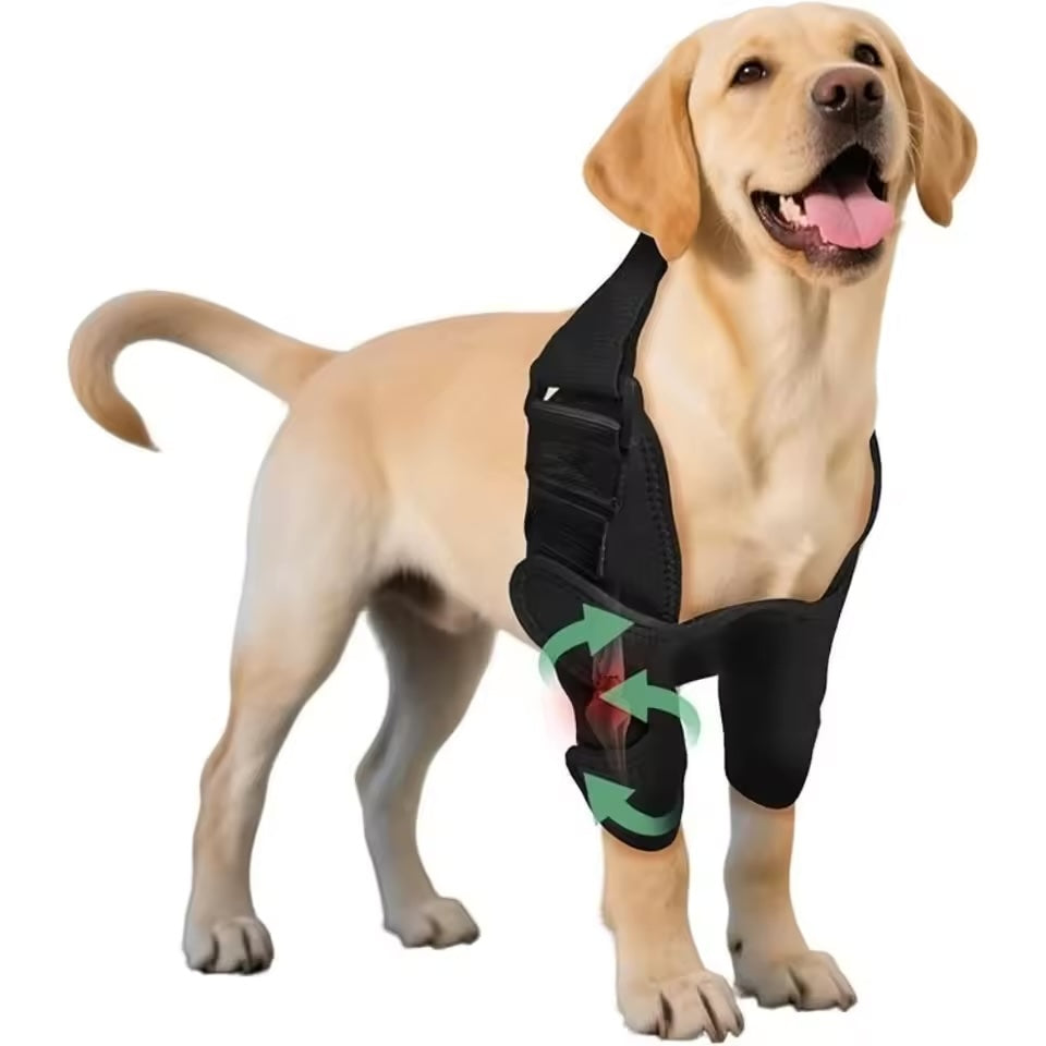 Dual-Shoulder Brace
